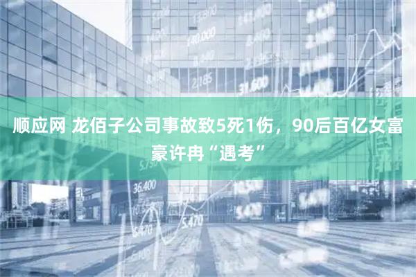 顺应网 龙佰子公司事故致5死1伤，90后百亿女富豪许冉“遇考”