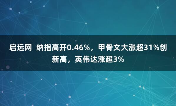启远网  纳指高开0.46%，甲骨文大涨超31%创新高，英伟达涨超3%
