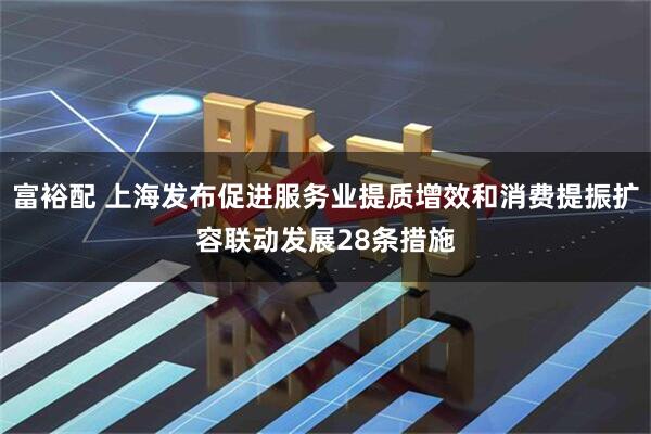 富裕配 上海发布促进服务业提质增效和消费提振扩容联动发展28条措施