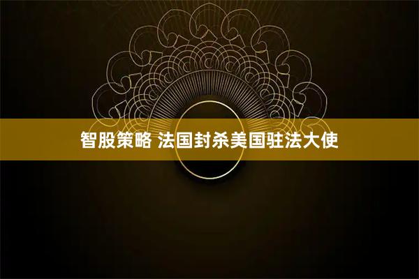 智股策略 法国封杀美国驻法大使